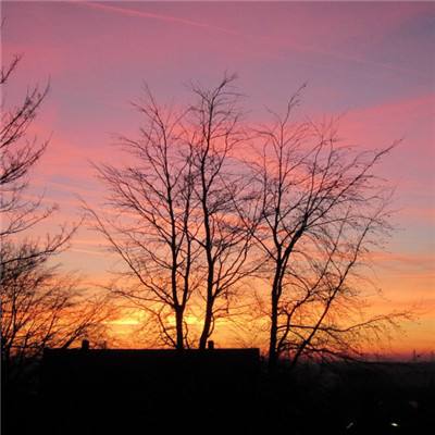 快三软件平台官方